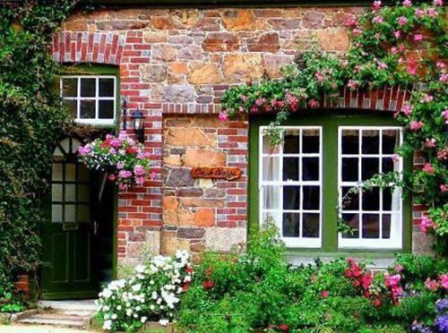 妻子的秘密陆丽全文阅读(完整版)