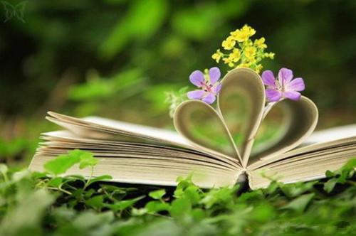 路飞鸣人是什么小说的主人公 路飞鸣人免费阅读