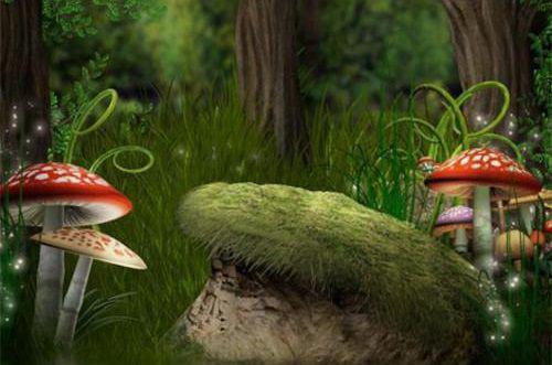 唐予眠沈谦凡小说 唐予眠沈谦凡全文免费阅读