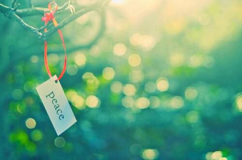 林鹤谭亦竹徐逸闻小说最新章节 林鹤谭亦竹徐逸闻免费阅读