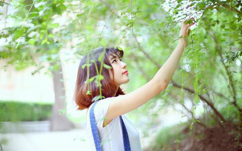 雅丽菲娅路西法免费阅读无弹窗 雅丽菲娅路西法最新章节