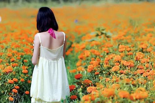 言情：娇软团子被家人读心(结局) 闻瀚江闻景骁免费阅读全文