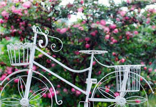 容洲闻冬禧（闻冬禧容洲）全文免费阅读大结局_容洲闻冬禧（闻冬禧容洲）免费在线阅读