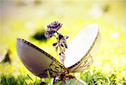 谢苒顾一瑾全文最新章节正版小说免费阅读