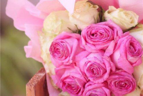 元清栎池宇舟林钰清哪里可以看 元清栎池宇舟林钰清免费阅读