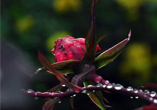 重生后，我手刃渣男在线免费阅读 谢允方茹小说无删减无弹窗