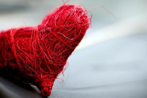 林清歌何迎州全文阅读 林清歌何迎州小说最新章节