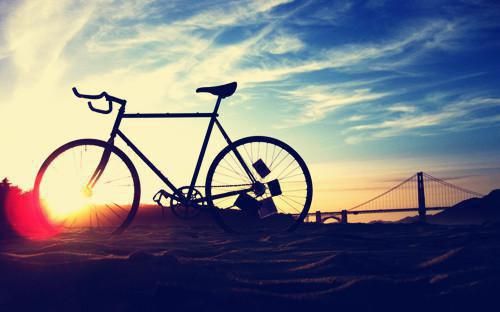 沈岁禾江闻野大结局免费阅读 沈岁禾江闻野全文小说