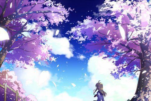 主角名是沈沐洛音白鹂全文免费阅读正版