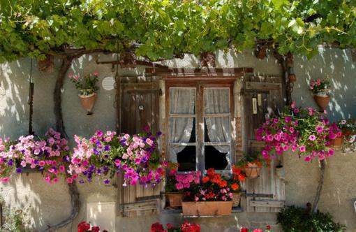 主角姜婉晴封云钦小说 姜婉晴封云钦小说全文免费阅读