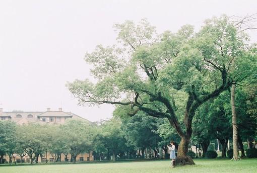 楚沁陆御景免费全文 楚沁陆御景小说在线阅读