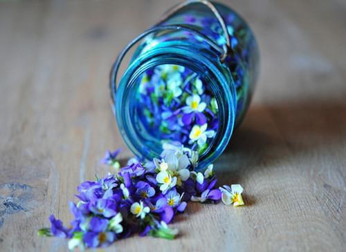 林依棠顾知勉免费阅读第二章 林依棠顾知勉大结局