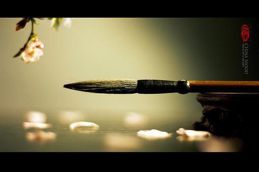 重生我在末世疯狂囤货秦璇王浩完整版全文阅读