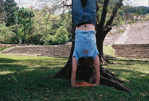 白芷萧临渊全文免费大结局 白芷萧临渊小说在线阅读