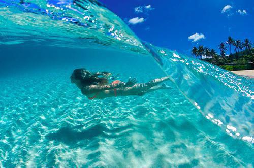 阮青芜顾江蔺全文最新章节正版小说免费阅读