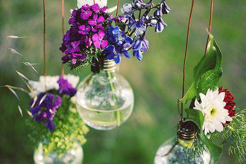 《姜清婉裴煜白小说》无弹窗全文免费阅读