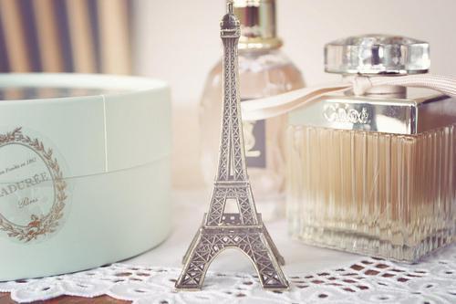 姜黎贺季泽小说 姜黎贺季泽免费全文阅读