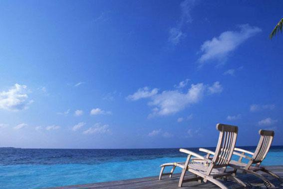 堂姐装疯卖傻,真成了傻子蒋媛媛蒋雯雯宋冬凌完整版小说全文阅读