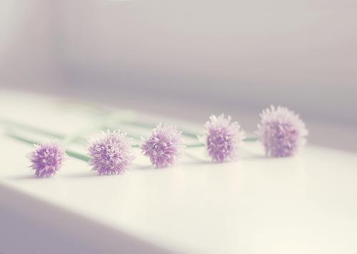 梨岁岁楚焱小说结局 咬奶瓶躲疯批!楚少的在逃小傻妻在线看