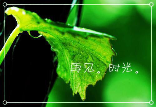 姜卓欣方若琦裴晋琛完整版 姜卓欣方若琦裴晋琛小说全文在线阅读