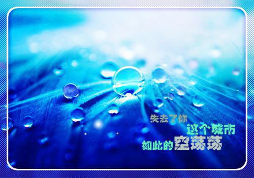 沈明月顾远舟免费小说 沈明月顾远舟全文阅读目录