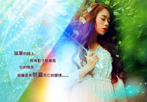 小狗前夫的千层套路全文目录 司景湛江凌歌小说免费阅读无广告