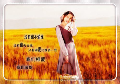 陶天齐免费全本小说 陶天齐章节目录