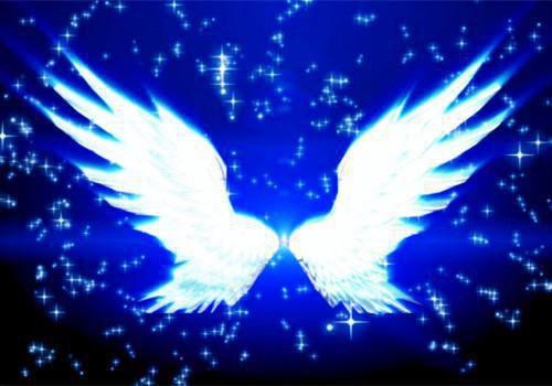 宁宁莺莺最新篇章 不得安宁全本免费阅读