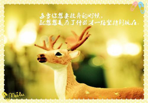 ***乔山小说最新章节 ***乔山免费阅读