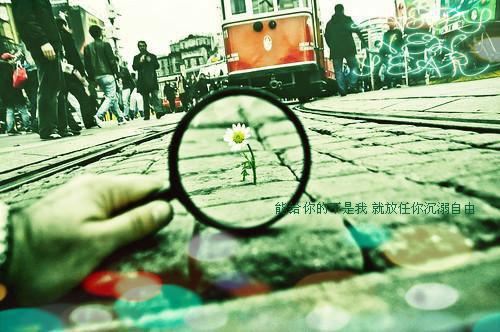 余歆歆顾知易小说在哪里看 余歆歆顾知易在线阅读第一章