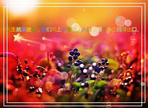 简慕宁贺星野（简慕宁贺星野）小说在线阅读_简慕宁贺星野全本免费小说阅读（简慕宁贺星野）