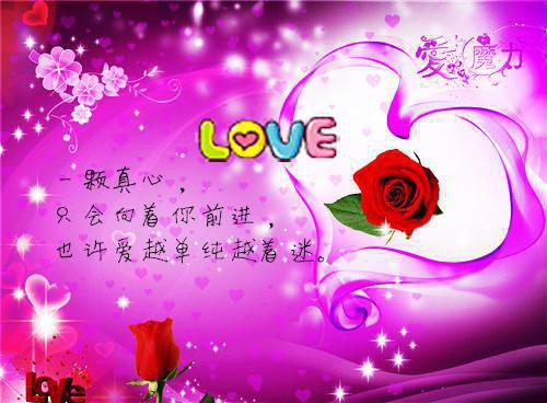 向莉莉云希小说 向莉莉云希免费全文阅读