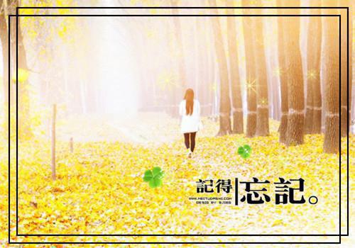 程绾陆鸣沉小说全免读 程绾陆鸣沉第一章在线阅读