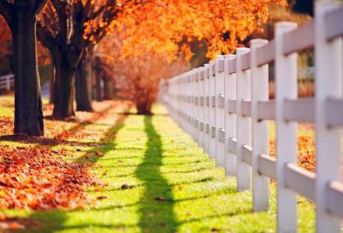 念念小说 念念免费全文阅读