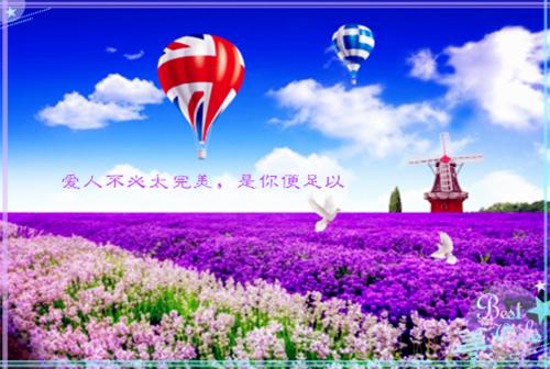 (抖音小说)贺屿白乔婉心免费阅读