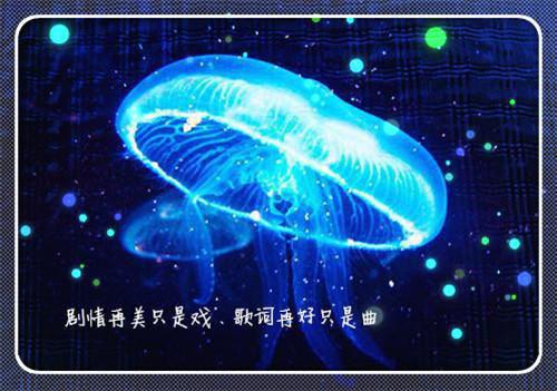 林闲萧雅全文免费无弹窗 兼职天师，国家要我抓僵尸章节试读