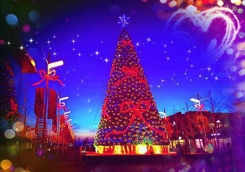 苏芜帝凛（帝凛苏芜）全文免费阅读无弹窗大结局_苏芜帝凛免费阅读最新章节列表