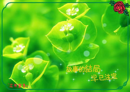 程北茉陆宴舟（程北茉陆宴舟）全文免费阅读无弹窗大结局_程北茉陆宴舟最新章节列表（程北茉陆宴舟）