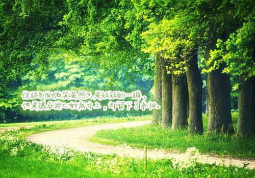 被渣后，我把京圈大佬养成小乖乖沈朝夕林战林泽全文免费阅读(已完结)