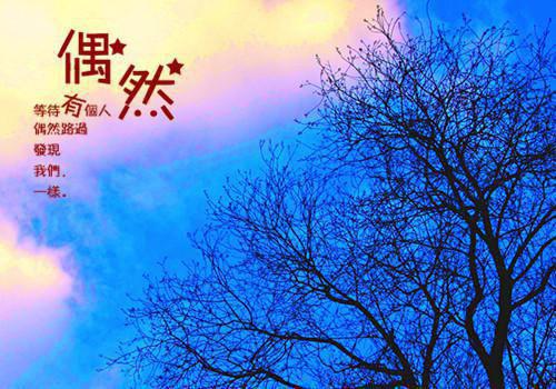 唐筱陆景淮小说免费试读 唐筱陆景淮第1章
