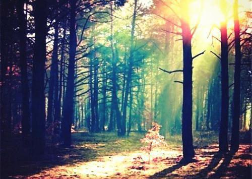 我居高位，夫君在下在线阅读 沈明言沈明云成安小说