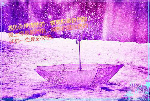 顾少钦孙曼免费小说 顾少钦孙曼完结版在线阅读