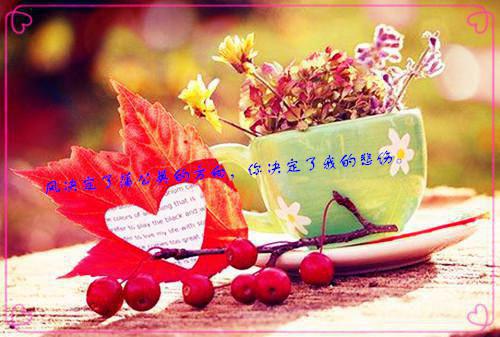 但偏偏,风渐渐季安宁裴行安施胶月结局是什么 但偏偏,风渐渐季安宁裴行安施胶月免费阅读全文