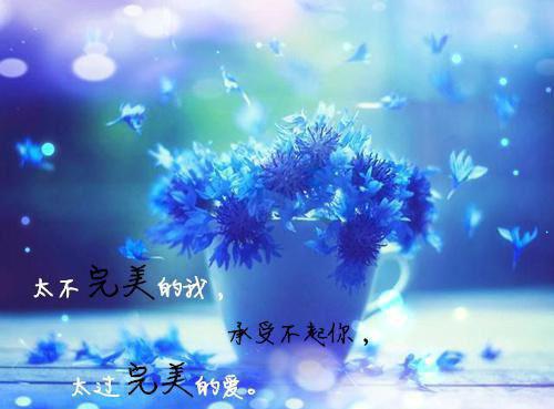 华轻雪李景楠哪里可以看 华轻雪李景楠免费阅读第10章