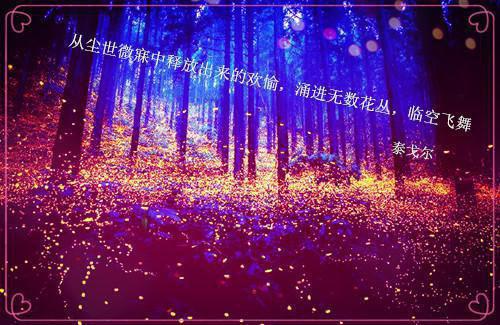 (抖音小说)林森沈柔苏辰小说全文阅读免费