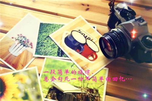 赵琳琳周柏彦免费完结版 男神父母给我一百万让我掰直他们儿子，小意思赵琳琳周柏彦小说阅读