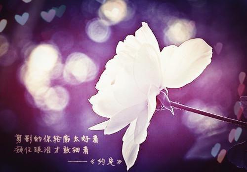 白玉宋言白锦汐全文阅读最新 白玉宋言白锦汐小说目录