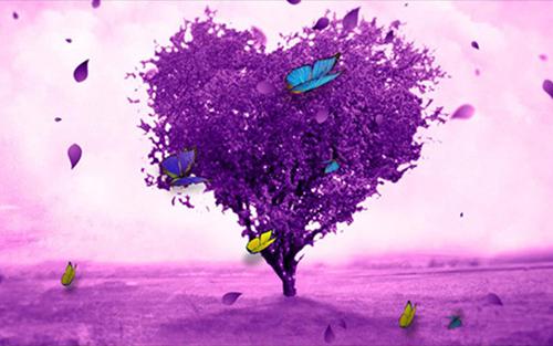 林南溪免费阅读文娱：绑定老六系统后我火爆全网最新章节目录