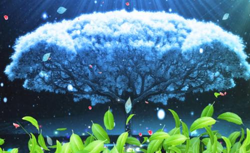 (完整版)陆佳宁裴徊光小说免费阅读无广告