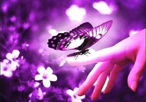 嫁给别人后，渣了我的前任却疯了苏婉音宴池顾宁完结小说全文在线阅读